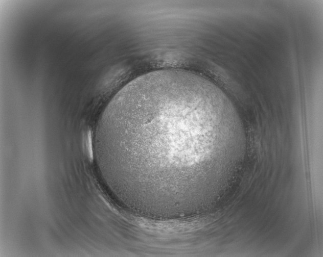 X0000059810022200510241407