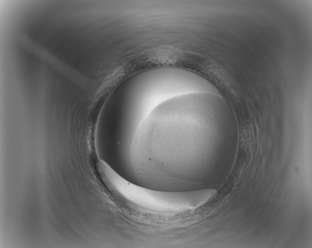 X0000059810023200510241407