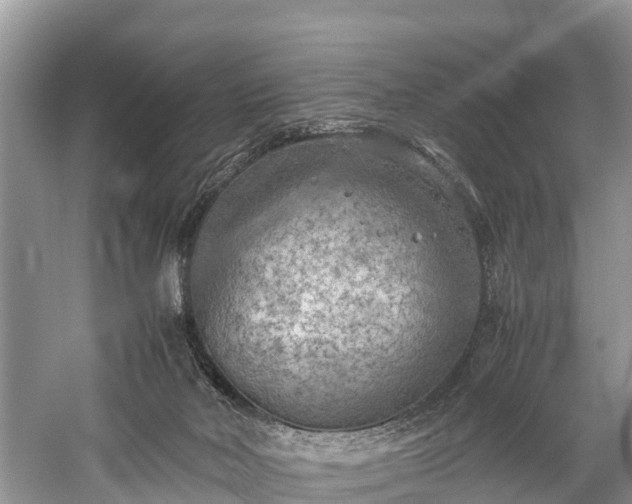 X0000059810026200510241407