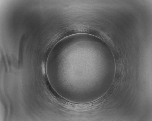 X0000059810027200510241407