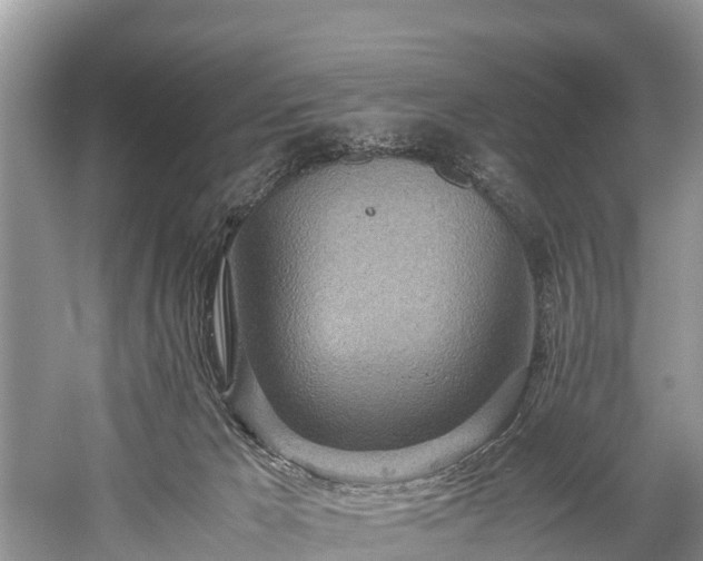 X0000059810029200510241407