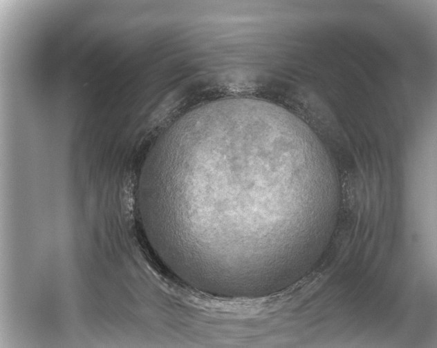 X0000059810032200510241407