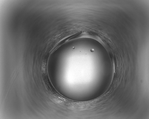 X0000059810033200510241407