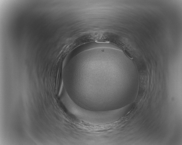 X0000059810035200510241407