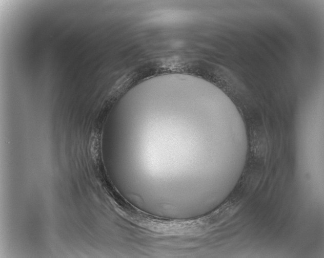 X0000059810036200510241407