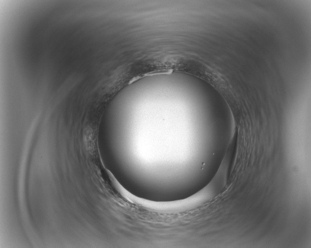 X0000059810037200510241407