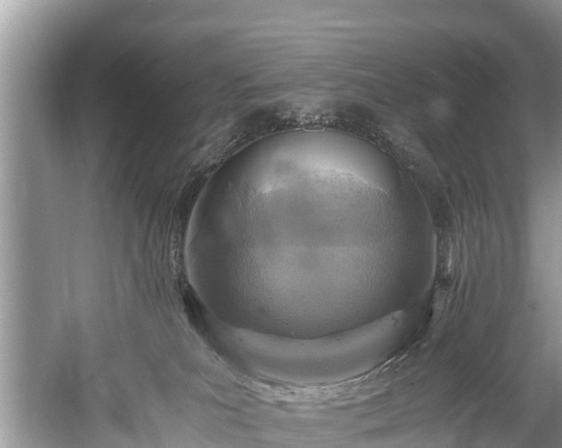 X0000059810039200510241407