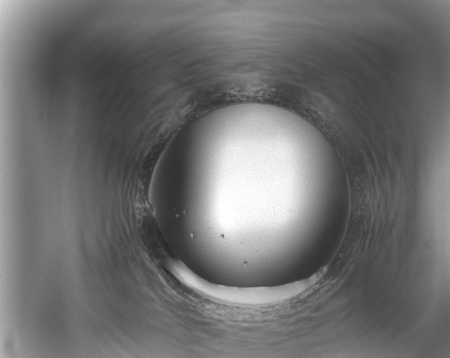 X0000059810040200510241407