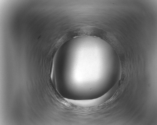 X0000059810045200510241407