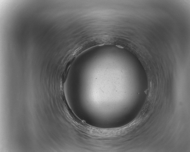 X0000059810048200510241407