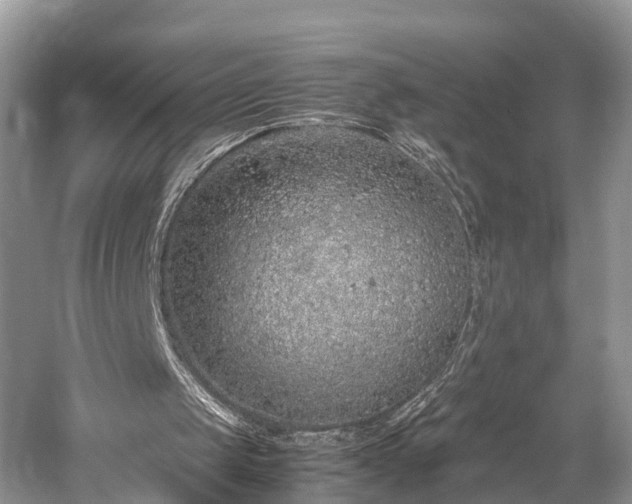 X0000059810049200510241406