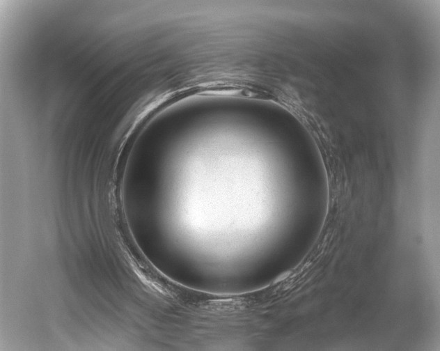 X0000059810050200510241406