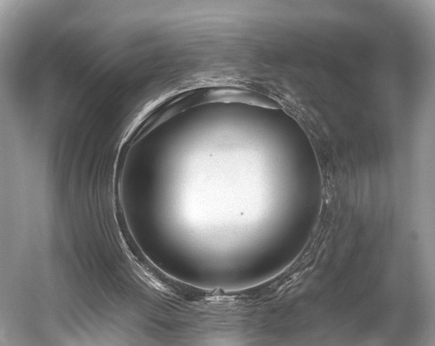 X0000059810052200510241406