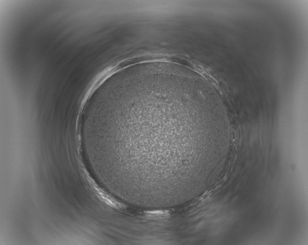 X0000059810053200510241406