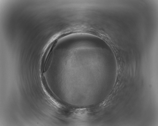 X0000059810054200510241406