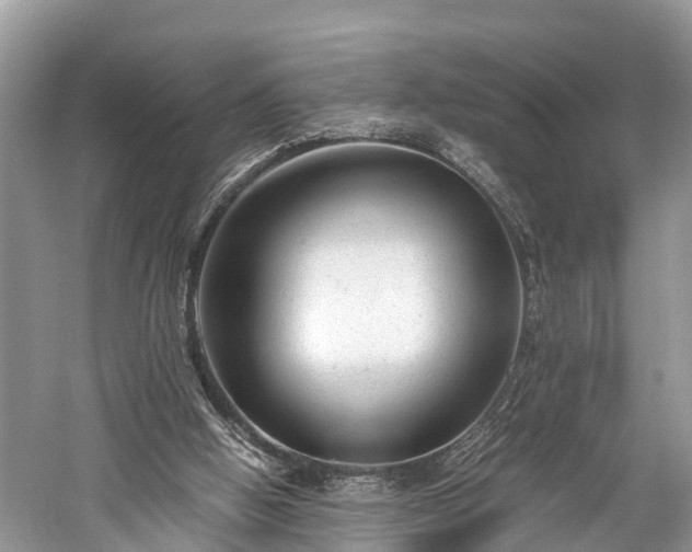 X0000059810058200510241406