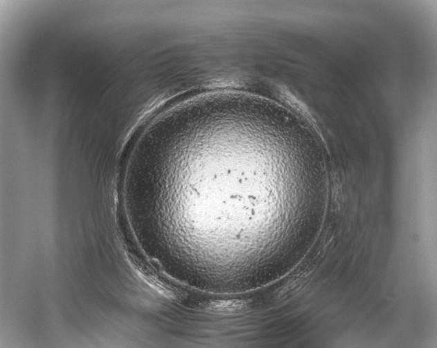 X0000059810059200510241406