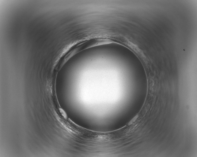 X0000059810060200510241406