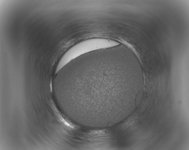 X0000059810061200510241406