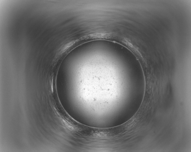 X0000059810062200510241406