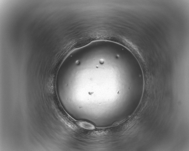 X0000059810065200510241406