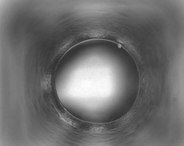 X0000059810066200510241406