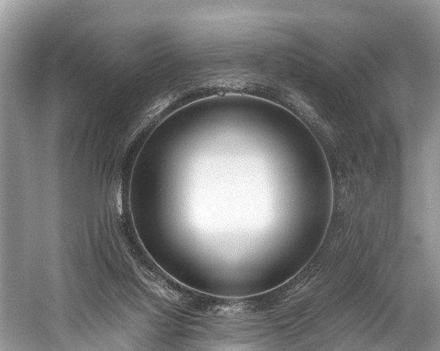 X0000059810068200510241406