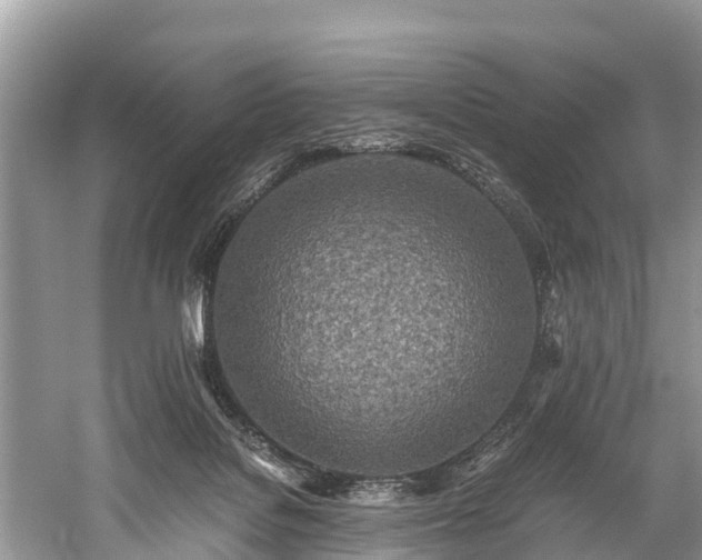 X0000059810076200510241406