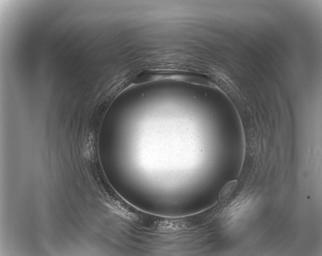 X0000059810077200510241406