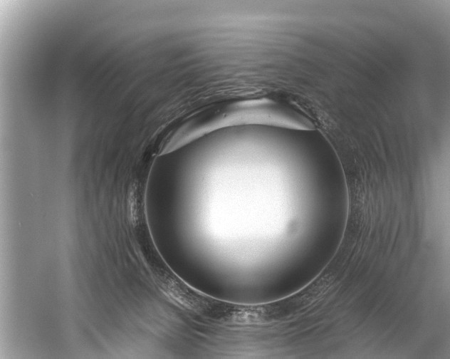 X0000059810080200510241406