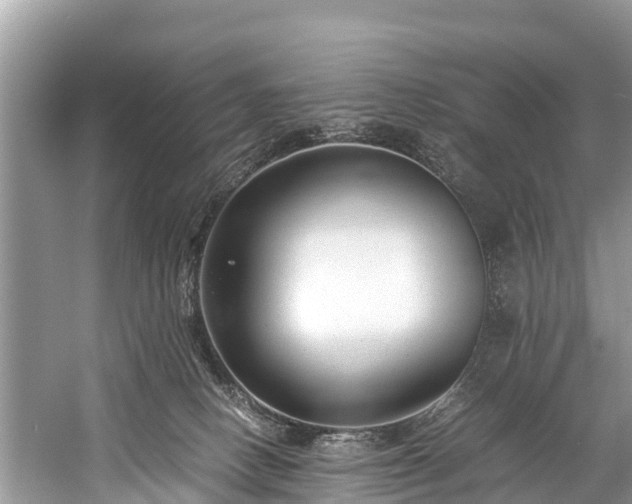 X0000059810082200510241406