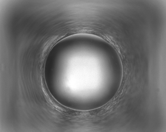 X0000059810097200510241406