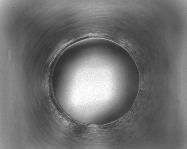 X0000059810098200510241406