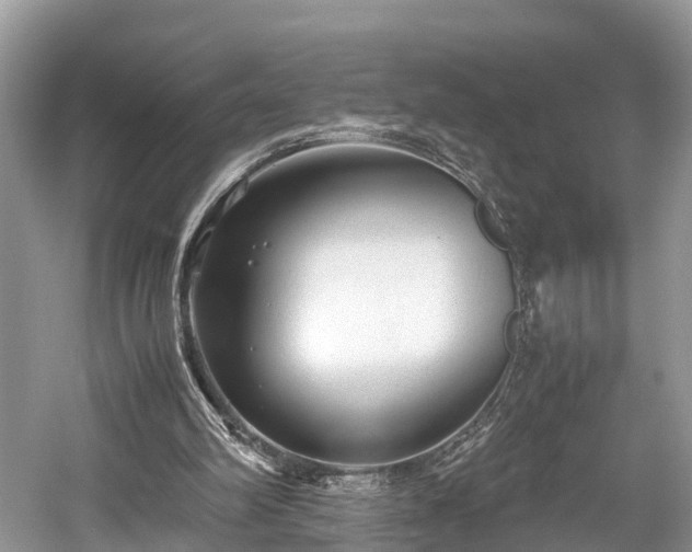 X0000059810102200510241406