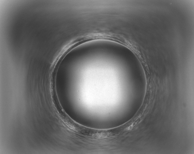 X0000059810103200510241406