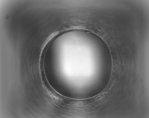 X0000059810104200510241406