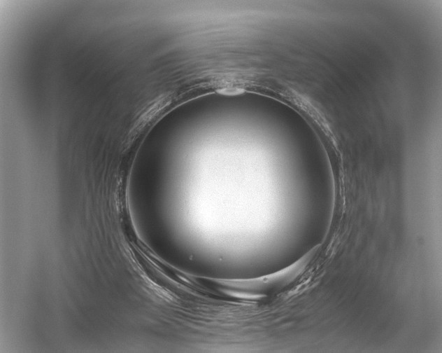 X0000059810105200510241406