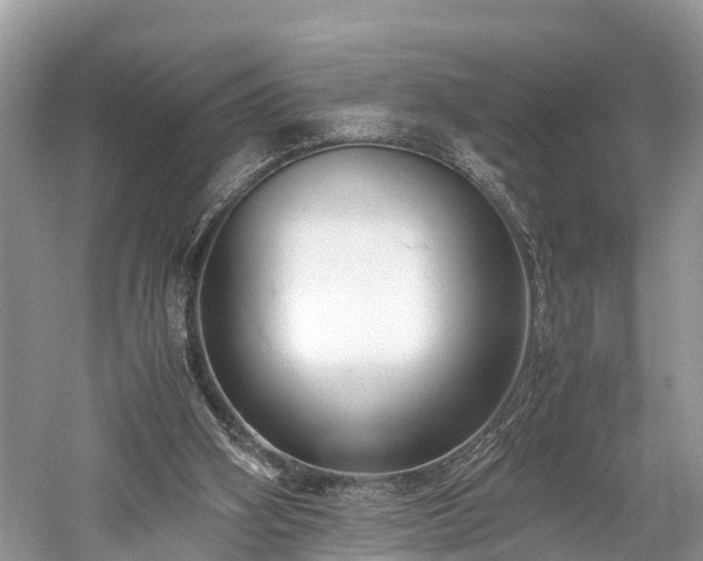 X0000059810106200510241406