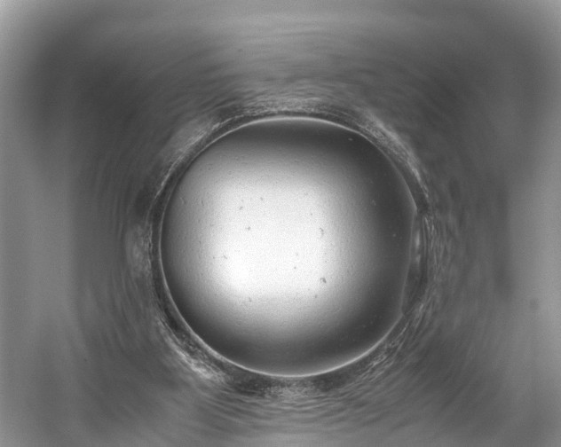 X0000059810107200510241406