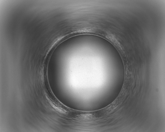 X0000059810108200510241406