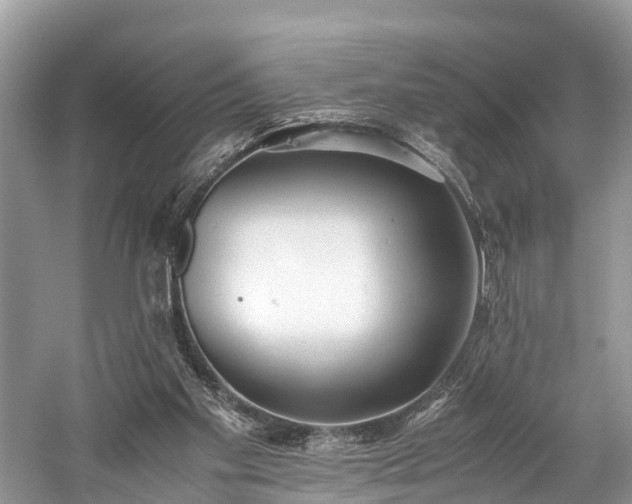 X0000059810109200510241406