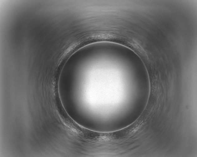 X0000059810111200510241406