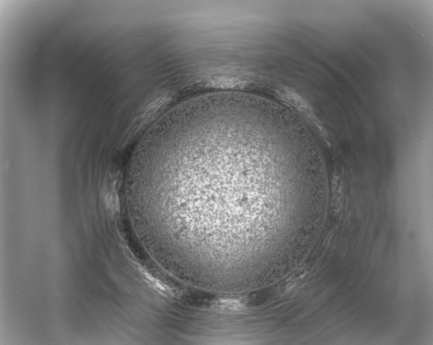 X0000059810114200510241405