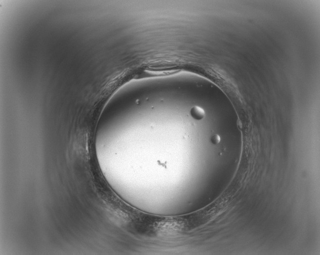 X0000059810115200510241405