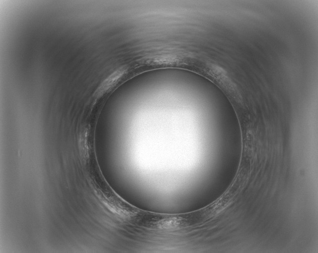 X0000059810116200510241405