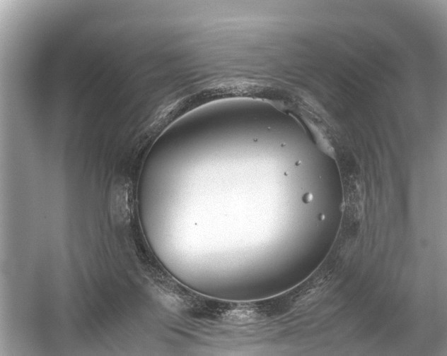 X0000059810119200510241405