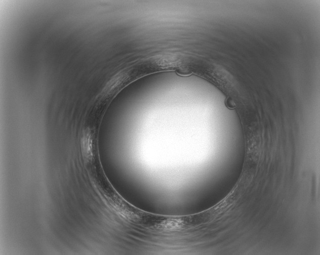 X0000059810124200510241405