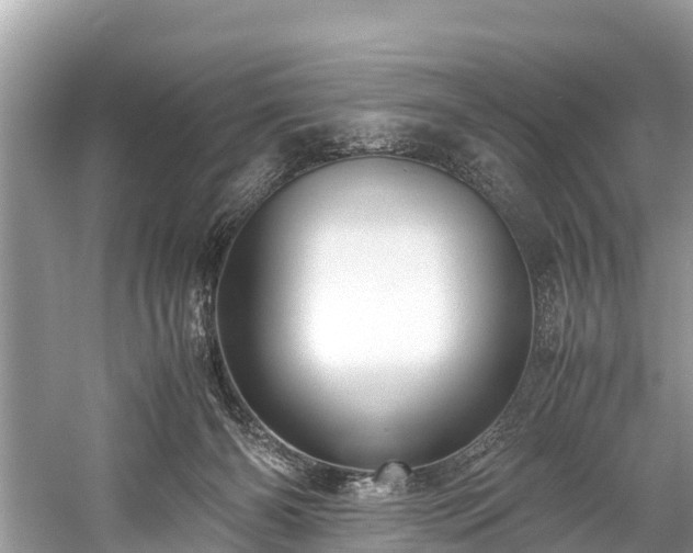 X0000059810126200510241405