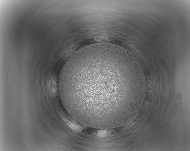 X0000059810130200510241405