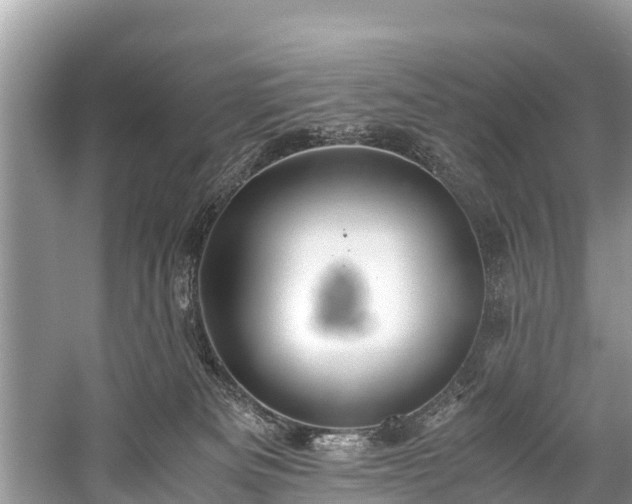 X0000059810133200510241405